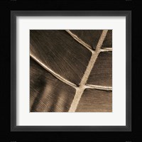 Particular Fine Art Print