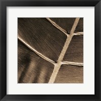 Particular Fine Art Print