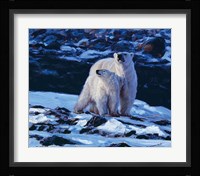 At the Edge of the Bay Fine Art Print