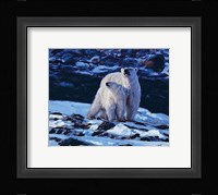 At the Edge of the Bay Fine Art Print