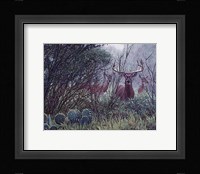 Lone Star Whitetail Fine Art Print