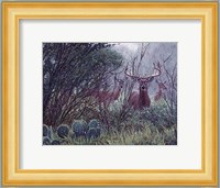 Lone Star Whitetail Fine Art Print