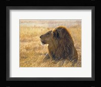 Danger on the Wind Fine Art Print