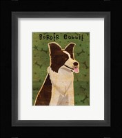 Border Collie Framed Print
