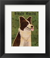 Border Collie Framed Print