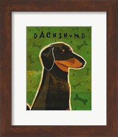 Dachshund (black and tan) Fine Art Print