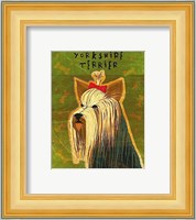 Yorkshire Terrier Fine Art Print