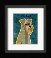 Schnauzer Framed Print