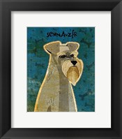 Schnauzer Framed Print
