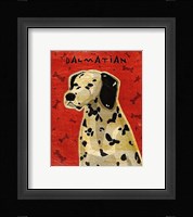 Dalmation Fine Art Print