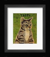 Tabby (grey) Framed Print