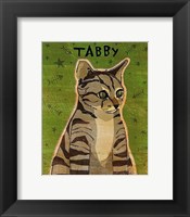 Tabby (grey) Framed Print