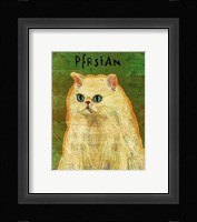 Persian Framed Print