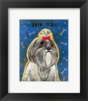 Shih Tzu Framed Print