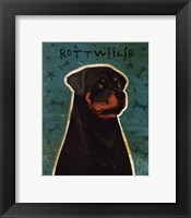 Rottweiler Framed Print
