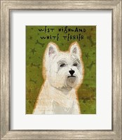West Highland White Terrier Fine Art Print