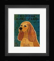 American Cocker Spaniel (buff) Framed Print