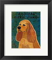American Cocker Spaniel (buff) Framed Print