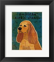 American Cocker Spaniel (buff) Framed Print