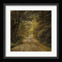 Flannery Fork Road No. 1 Framed Print