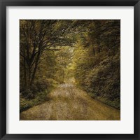 Flannery Fork Road No. 1 Fine Art Print
