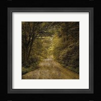 Flannery Fork Road No. 1 Framed Print