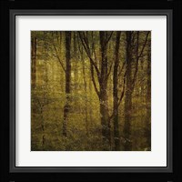 Fog in Mountain Trees No. 2 Framed Print