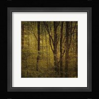 Fog in Mountain Trees No. 2 Framed Print