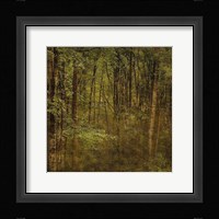Fog in Mountain Trees Framed Print