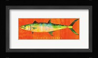 King Mackerel Framed Print