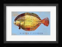 Winter Flounder Framed Print