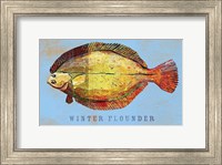 Winter Flounder Fine Art Print
