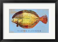 Winter Flounder Framed Print