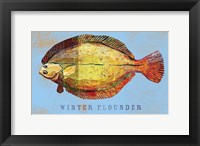 Winter Flounder Framed Print