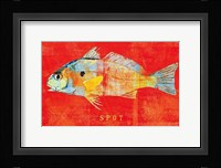 Spot Framed Print
