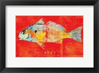 Spot Framed Print