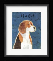 Beagle Fine Art Print