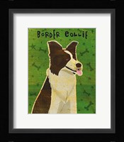Border Collie Fine Art Print