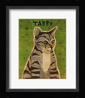 Tabby (grey) Framed Print