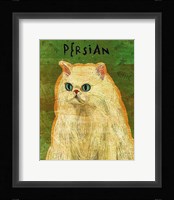 Persian Framed Print
