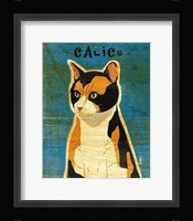 Calico Framed Print