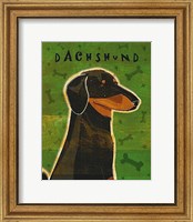 Dachshund (black and tan) Fine Art Print