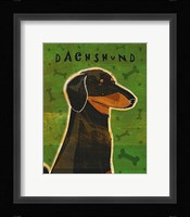 Dachshund (black and tan) Framed Print