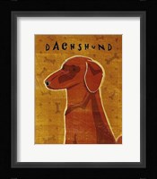 Dachshund (red) Framed Print