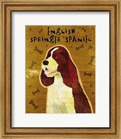 English Springer Spaniel Fine Art Print