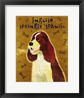 English Springer Spaniel Fine Art Print