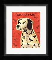 Dalmation Fine Art Print
