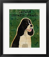 English Springer Spaniel (black and white) Fine Art Print