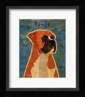 Boxer Framed Print