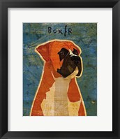 Boxer Framed Print